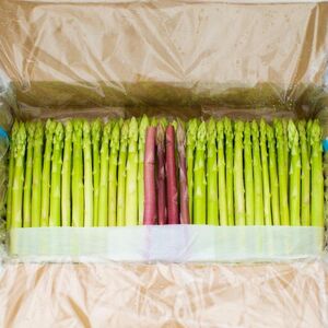 アスパラ王子が育てた自慢のアスパラ　おおもりやオリジナル　穂だけアスパラ1kg【予約受付：令和8年3～4月頃から順次発送】【H-77】