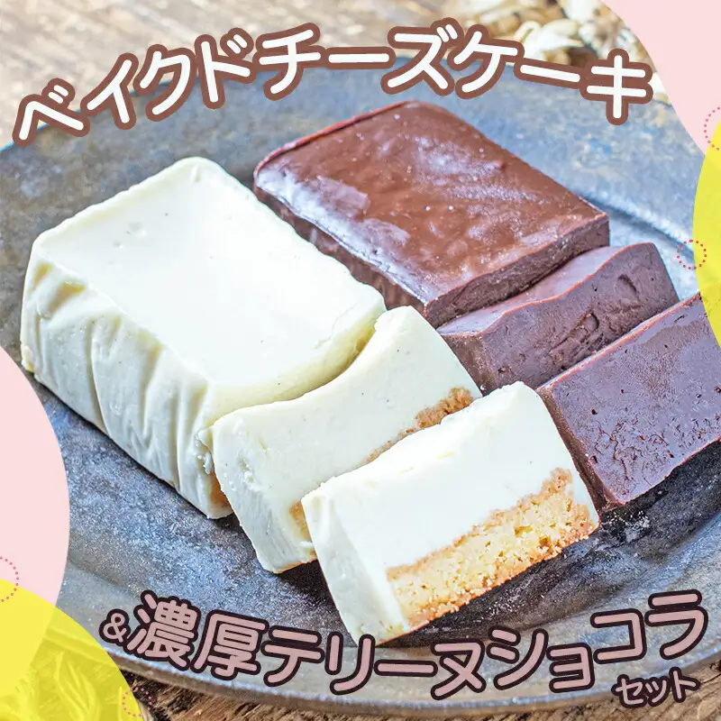 ベイクドチーズケーキ＆濃厚テリーヌショコラセット〔AAJ-C2-003〕_ (都城市) カカオ分72％ チョコレート ヨーグルトの酸味 クリームチーズ 洋菓子 お菓子 スイーツ 四角いケーキ 冷凍 おやつ ショコラケーキ 