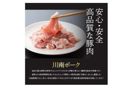 川南 ポーク豚肉小間切れ2.1㎏(300g×7袋) 国産 宮崎県産 小分け 豚肉