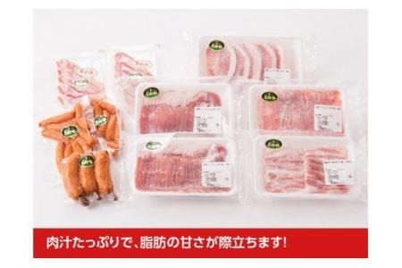 尾鈴豚おすすめセット 【 肉 豚肉 国産豚肉 九州産豚肉 宮崎県産豚肉 ロース バラ 加工品 豚肉詰合せ 】