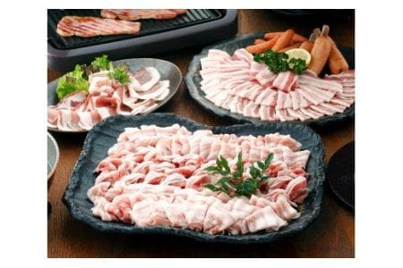 こだわり尾鈴豚セット 【 肉 豚肉 国産豚肉 九州産豚肉 宮崎県産豚肉 豚しゃぶ 焼肉 バラエティ豚肉 セット豚肉 】