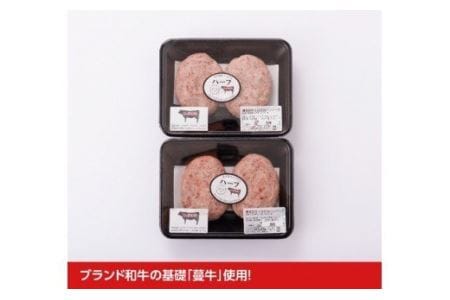 いぶさな牛 ハンバーグ 120g×4個 【 肉 牛肉 和牛 希少 ハンバーグ 焼くだけ 簡単 おうちごはん 】