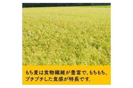 令和7年産 もち麦 2.5kg（500g×5袋） 【 ふるさと納税 国産 麦 もち麦 食物繊維 数量限定 宮崎県産 川南町産 送料無料 】