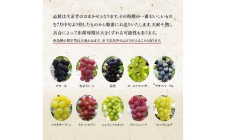 宮崎県産 旬のぶどう詰め合わせ １kg【先行予約 フルーツ 先行受付 ブドウ 期間限定 葡萄 数量限定 九州産 宮崎県産 川南町産 ぶどう】