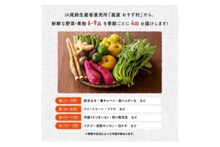 【定期便】産直おすず村 季節の野菜と果物 厳選 詰め合わせセット（小） 【 旬野菜 フルーツ 直売所 産地直送 宮崎県産 】
