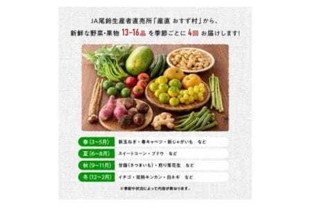 【定期便】産直おすず村 季節の野菜と果物 厳選 詰め合わせセット（大） 【 旬野菜 フルーツ 直売所 産地直送 宮崎県産 】