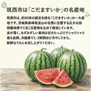 【 JA北つくば 】 こだますいか 「 スウィートキッズ 」 2玉