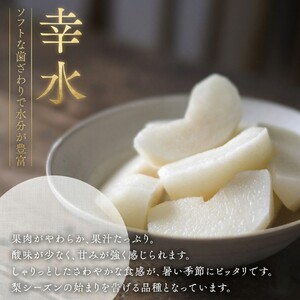 【 JA 北つくば 】 筑西ブランド 認証品 幸水 5kg 2026年産 先行予約