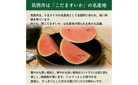 【 JA北つくば 】 黒こだますいか 「 誘惑のひとみ 」 4~5玉