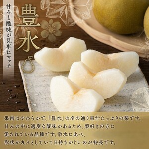 【 JA 北つくば 】 筑西ブランド 認証品 豊水 10kg 2026年産 先行予約