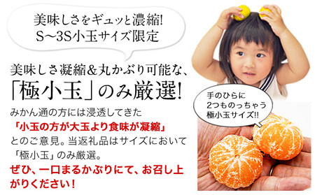 訳あり くまもと小玉みかん 約10kg みかん