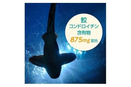 E-25　[ファイン]鮫軟骨エキス　２個セット