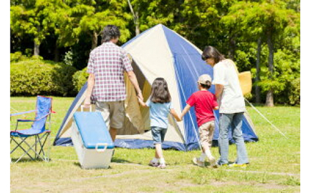 蚊取り線香 ・ 虫よけスプレー キンエイ 行楽セット２ / 線香 蚊とり 蚊よけ 虫除け みかん果皮配合 【kie931-ko-2A】