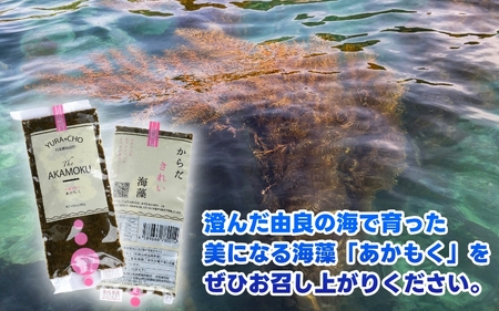 ［由良町産］ 紀州 あかもく 由良町産 100g×10パック 2026年産/ 海藻 フコイダン もずく 【sml214-100-10B】