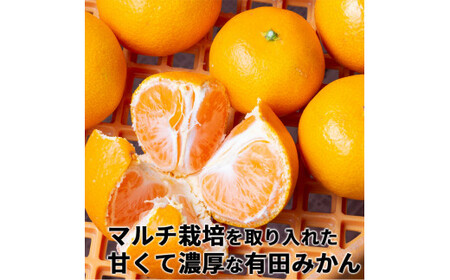 有田 みかん 特選 赤秀 3kg 【 創業120年 農家直送 】 / 温州みかん 有田みかん 甘い ギフト 贈答 高級 和歌山 柑橘 ※2026年11月中旬より2027年1月下旬に順次発送予定 【isy004-gif-3B】