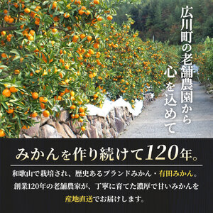 有田 みかん 特選 3kg 【 創業120年 農家直送 】 / 温州みかん 有田みかん 甘い 高級 和歌山 柑橘 ※2026年11月中旬～2027年1月下旬に順次発送 【isy004-r-3B】