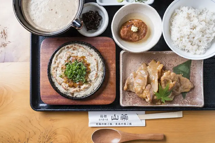 お店の味をご家庭で。【箱根自然薯の森 山薬】自然薯セット(2～3人前×2回分)【とろろ 極上とろろ 山芋 箱根 お家用 家庭用 国産 セット商品 自然薯 神奈川県 小田原市 とろろ】