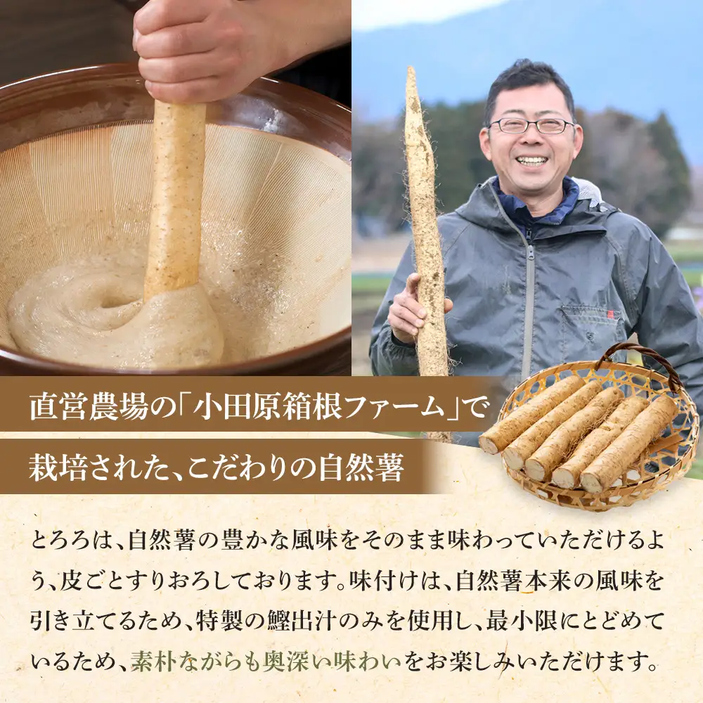 解凍するだけでお店の味が楽しめる。自然薯味付とろろ100ｇ×１０ｐセット【とろろ 極上とろろ 山芋 箱根 お家用 家庭用 国産 セット商品 自然薯 味付とろろ 贈答品 神奈川県 小田原市 とろろ】