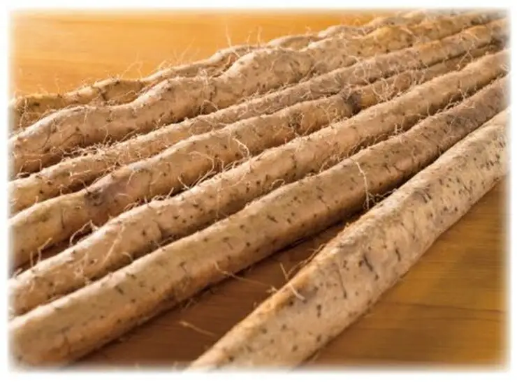 自然薯の味をお楽しみください。自然薯生とろろ100ｇ×５ｐセット【とろろ 極上とろろ 山芋 箱根 お家用 家庭用 国産 セット商品 自然薯 味付とろろ 神奈川県 小田原市 とろろ】