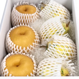 【2026年先行予約】新潟特産 和梨と幻の洋梨ル・レクチェ セット（新興梨 3個 ル・レクチェ 4個）《11月下旬～お届け》