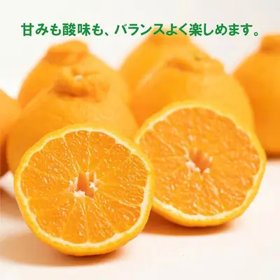 【先行予約】訳あり 減農薬 不知火 5kg 愛南フルーツ 【2027年3月下旬～発送開始】
