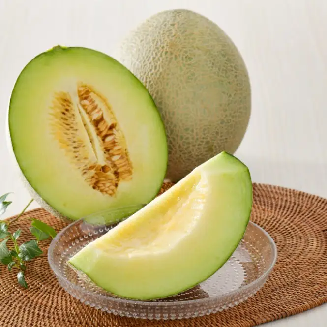 【2026年8月前半発送】 メロン 青肉 約5kg (4～6玉) 青森県産 メロン