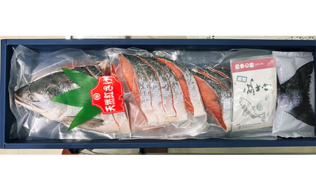 紅さけ姿造り 塩 ふるさと納税 鮭