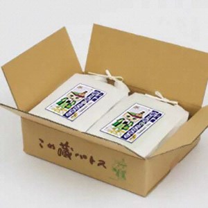 【令和7年産】西尾のお米10kg(こしひかり5kg×2)・K195-29