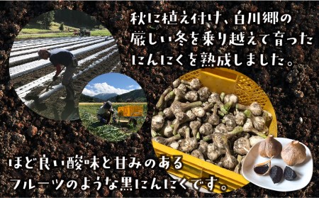 黒にんにく 熟成発酵にんにく 150g 1袋 甘さが自慢！ 白川郷産 S220 大田ファーム