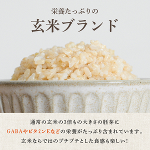 米 令和7年産 金のいぶき 10kg 有機JAS 玄米 [農家の蔵出し米生産組合 山形県 高畠町 tk06ays900003]