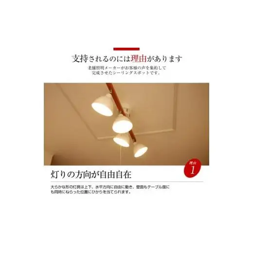 シーリングライト プルスイッチ 天井照明 LED昼白色付属[631]