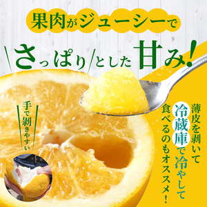S040-023A_農家の手摘みあまくさ木成り晩柑 約7.5kg 先行受付