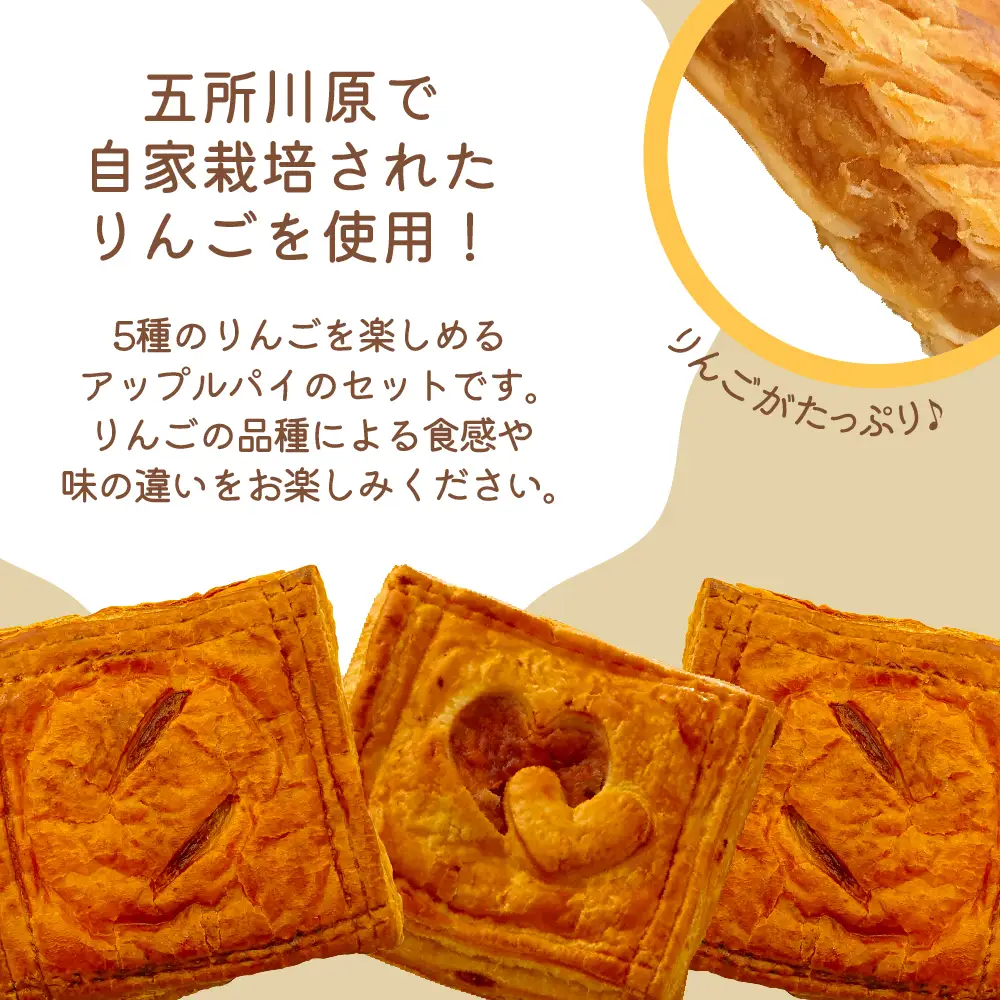 アップルパイ　８個（5種）セット【食べ比べ_個包装_青森りんご_詰合せ_五所川原市】