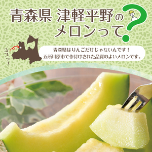 先行予約【2026年8月前半発送】【秀～優品】津軽平野のメロン 約7.5kg程度(赤肉・青肉セット) (4～8玉)【青森メロン】