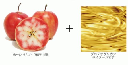 AKARIN5 プロテオグリカン スキンケアセットⅠ(化粧水＋保湿乳液）