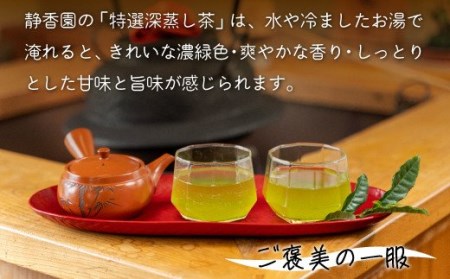 茶葉 特選 深蒸し茶 70g 2袋 フィルターイン ボトル付 国産 新茶 銘茶 ギフト 贈答 贈り物