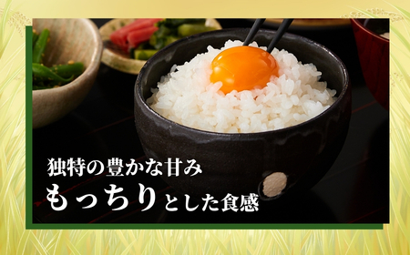 【令和7年 コシヒカリ 定期便】魚沼産コシヒカリ「おぢや米」 30kg（5キロ×6回）| 新潟県 小千谷市