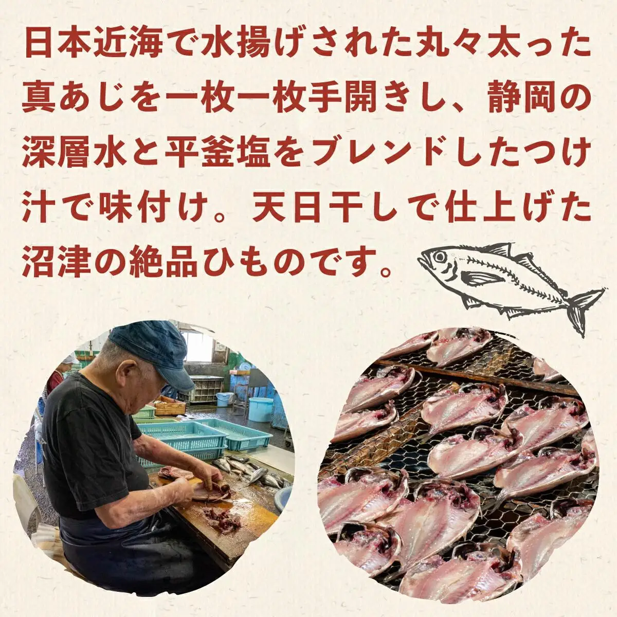 あじ 干物 6枚 セット 国産 あじ