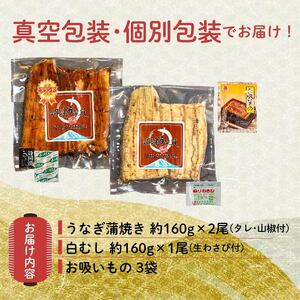 国産鰻 蒲焼 白むし 計480g うなぎ 鰻