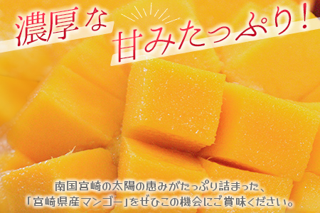［訳あり］宮崎県産マンゴー《家庭用》2kg以上（4～6玉）新富町産 完熟 フルーツ 果物【C217-26】