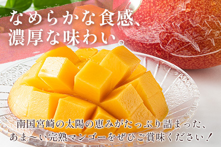 ＜先行予約＞宮崎県産 完熟マンゴー 2L×2玉 数量限定 人気 フルーツ 果物 ギフト【B510-26】