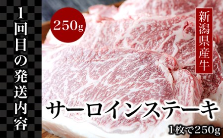 76-77B【3ヶ月連続お届け】【訳あり】迷ったらこれ！豪華！！ステーキ定期便