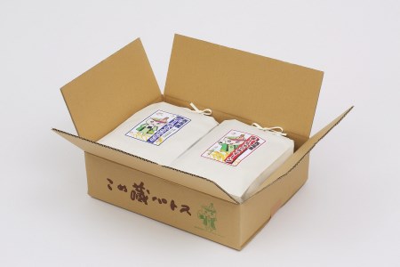 【令和7年産】西尾産お米10kg(こしひかり5kg、ミルキークイーン5kg)・K196-29