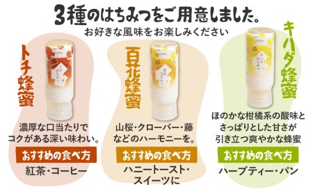 飛騨産 生蜂蜜セット 200g×3種 蜂蜜 [Q1205x]