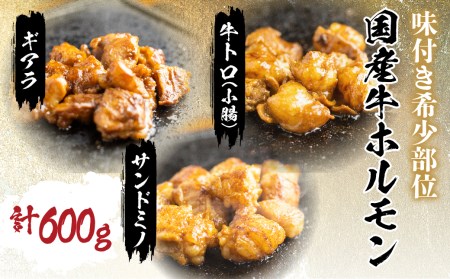プレミアムホルモン セット 3種 詰め合わせ 計600g 牛ホルモン 白トロ ギアラ サンドミノ ギアラ芯 味付きホルモン 焼くだけ絶品 とろける脂 簡単調理[Q793x]