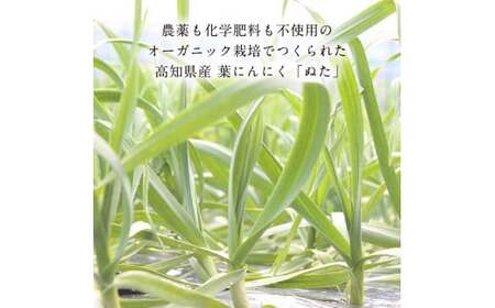 《6ヶ月定期便》芸西村厳選1本釣り本わら焼き「芸西村本気シリーズ〈極〉カツオのたたき（3～4人前）あの有名番組で紹介された有機無添加土佐にんにくぬた・タレ付き」数量限定〈高知市・土佐市共通返礼品〉