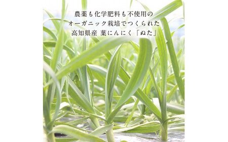 芸西村厳選1本釣り本わら焼き「芸西村本気の極カツオのたたき（9～11人前）有名番組で紹介の有機無添加土佐にんにくぬた・タレ付き」 