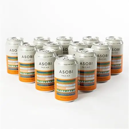 【与謝野町産ホップ使用クラフトビール】 ASOBI(アソビ) 350ml×12本　ペールエール_酒・アルコール 地ビール ビール _【1248906】