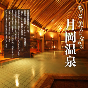 月岡温泉旅館 感謝券 (計15,000円分) 【もっと美人になれる温泉】 新潟県 新発田市 A01_5