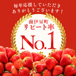 2026年発送予定】いちご 完熟冷凍いちご 1kg | 静岡県南伊豆町